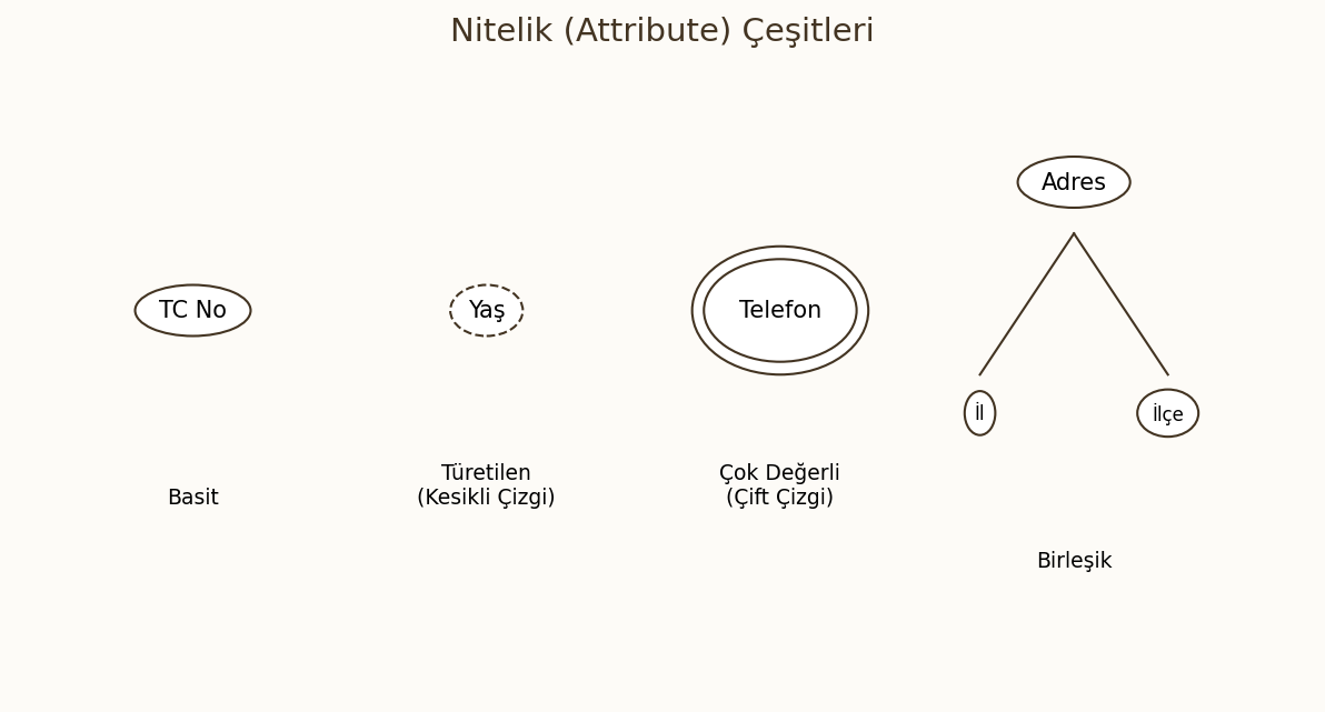 Nitelik Çeşitleri